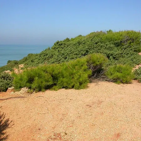 En Roche Сasa de vacaciones